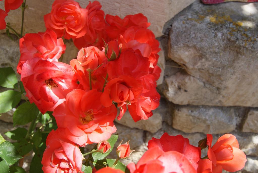 Manoir De La Pataudiere B&B Villers-Canivet Δωμάτιο φωτογραφία
